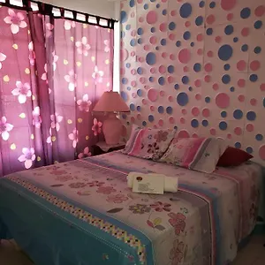 Albergue Nativa Trinsan Centro, San Andrés